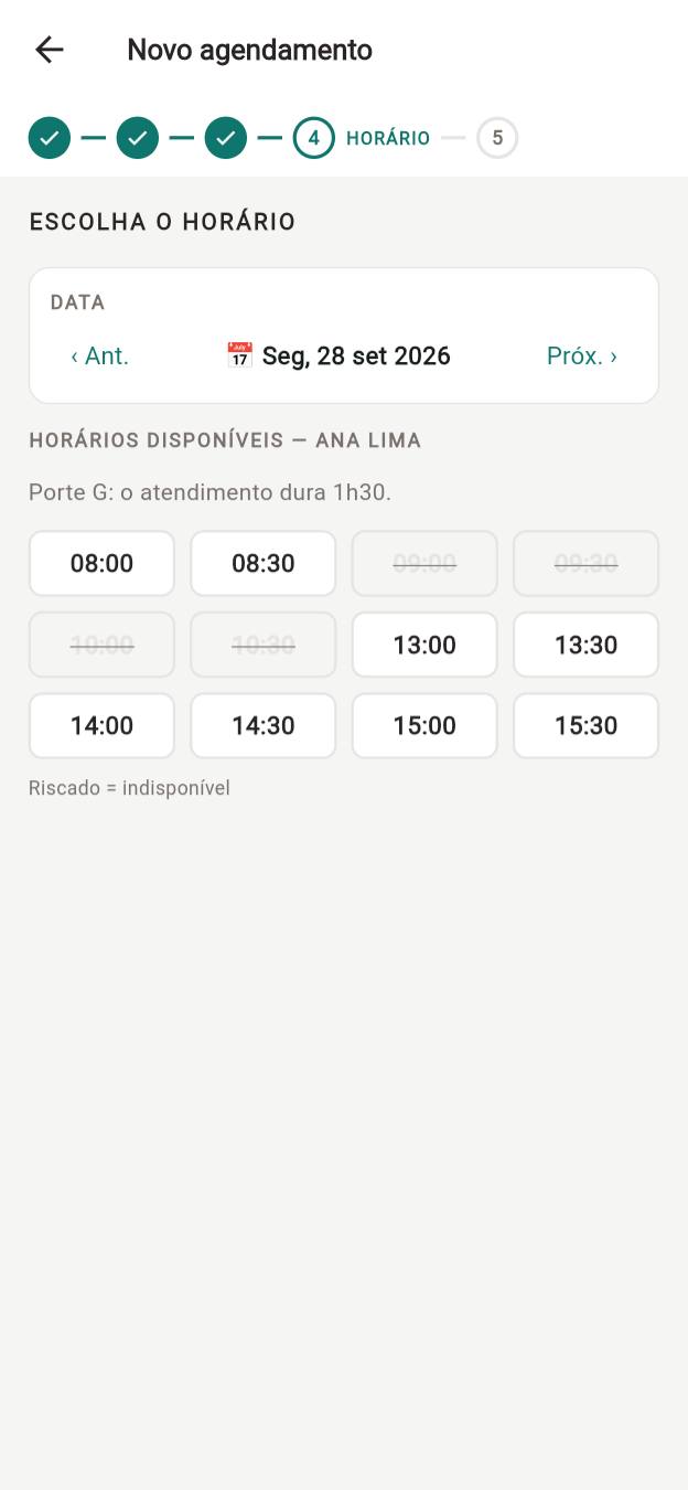 Escolha de horário para porte G: horários que invadiriam outro atendimento aparecem riscados